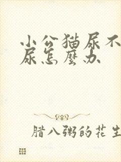 小公猫尿不出来尿怎么办