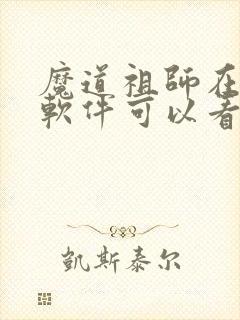 魔道祖师在哪个软件可以看动漫