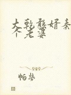 大乾憨婿秦墨几个老婆