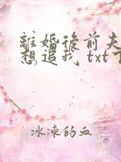 离婚后前夫总是想追我 txt下载