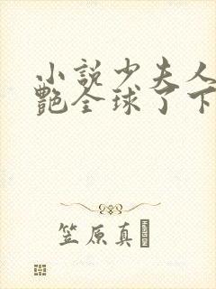 小说少夫人她惊艳全球了下载全文