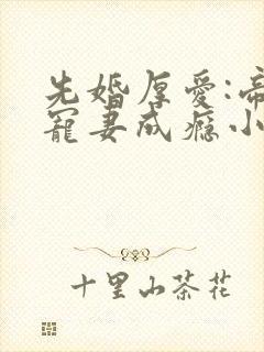 先婚厚爱:帝少宠妻成瘾小说