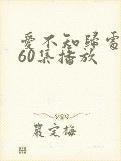 爱不知归处短剧60集播放