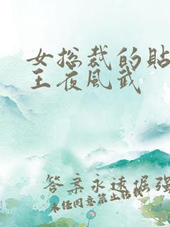 女总裁的贴身兵王夜风武