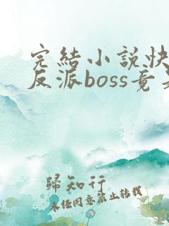 完结小说快穿:反派boss竟是我自己