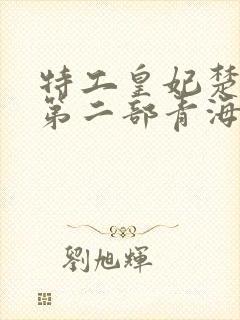 特工皇妃楚乔传第二部青海篇