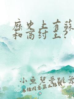 历史上有苏妲己和商纣王?