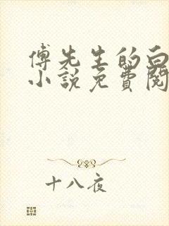 傅先生的白月光小说免费阅读