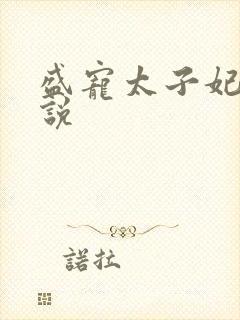 盛宠太子妃 小说