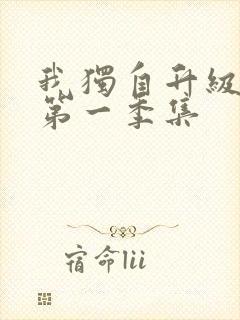 我独自升级动漫第一季集