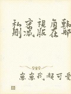 私密视角韩漫无删减版在哪看