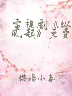 电视剧《纵有疾风起》免费观看