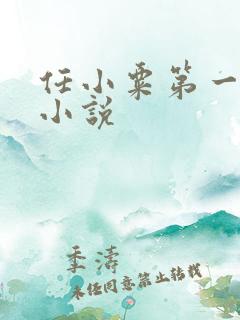 任小粟第一序列小说