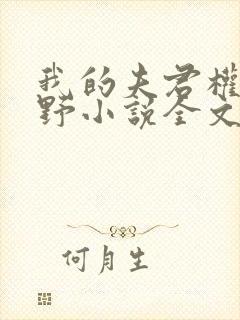 我的夫君权倾朝野小说全文免费阅读