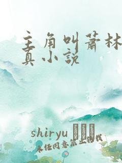 主角叫萧林的修真小说