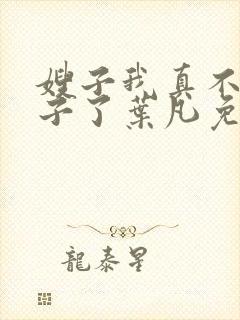 嫂子我真不是傻子了叶凡免费阅读