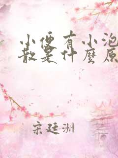 小便有小泡沫不散是什么原因