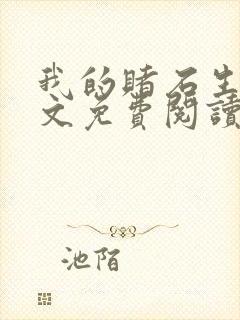 我的赌石生涯全文免费阅读