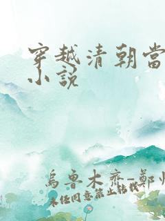 穿越清朝当皇帝小说