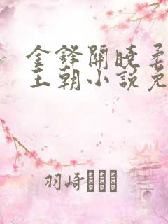 金锋关晓柔大康王朝小说免费阅读青