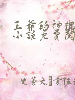 王爷的神棍王妃小说免费阅读