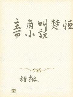 主角叫楚恒的都市小说