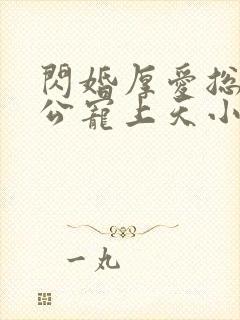 闪婚厚爱总裁老公宠上天小说免费阅读