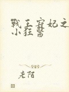 战王宠妃之倾世小狂医