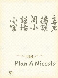 小说周扬主角的官场小说免费阅读