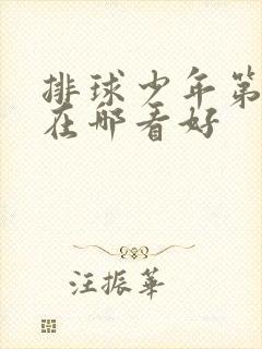 排球少年第二季在哪看好