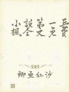 小说第一兵王于枫全文免费阅读