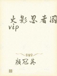 火影忍者国语版vip