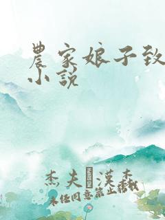 农家娘子致富记小说