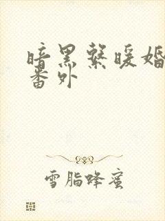 暗黑系暖婚微博番外