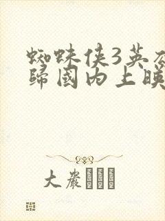 蜘蛛侠3英雄无归国内上映时间