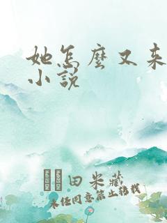 她怎么又来撩我小说