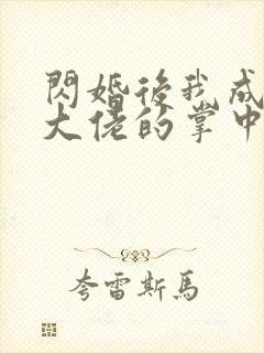 闪婚后我成为了大佬的掌中之物大结局