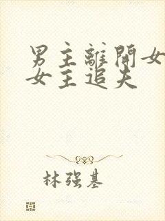 男主离开女主,女主追夫