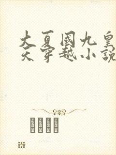 大夏国九皇子夏天穿越小说