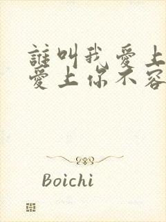 谁叫我爱上你,爱上你不容易是什么歌名