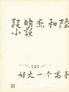 段明杰和陆瑶的小说