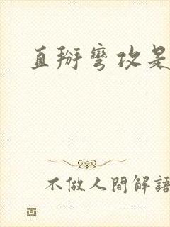 直掰弯攻是直男