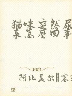 猫咪突然尿不出来怎么回事