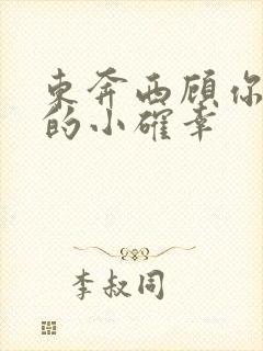 东奔西顾你是我的小确幸