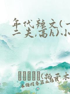 年代辣文(一女二夫,高h)小说