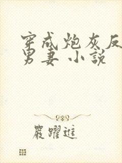 穿成炮灰反派的男妻 小说