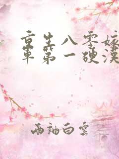 重生八零嫁给全军第一硬汉免费看