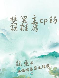 双男主cp的小说推荐