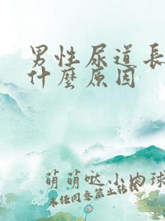 男性尿道长水泡什么原因