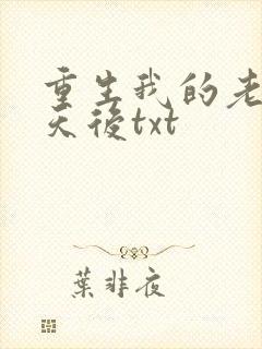 重生我的老婆是天后txt